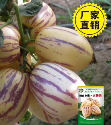 Picture of Imported Pepino Melon Fruit Seeds - 50+ pcs Seeds 