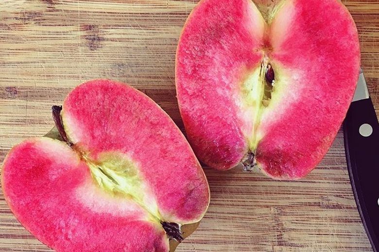 Picture of Global Pink Pearl Apple Tree Seeds -15Pcs Seeds
