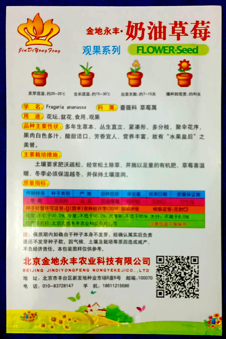 Picture of Global Sweet White Strawberry Seeds - 100+pcs 