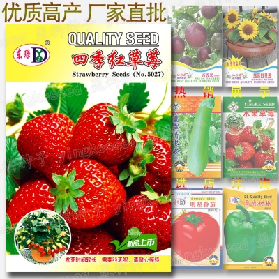 Picture of All Season Giant Red Color Global Strawberry Seeds - 200 Seeds 