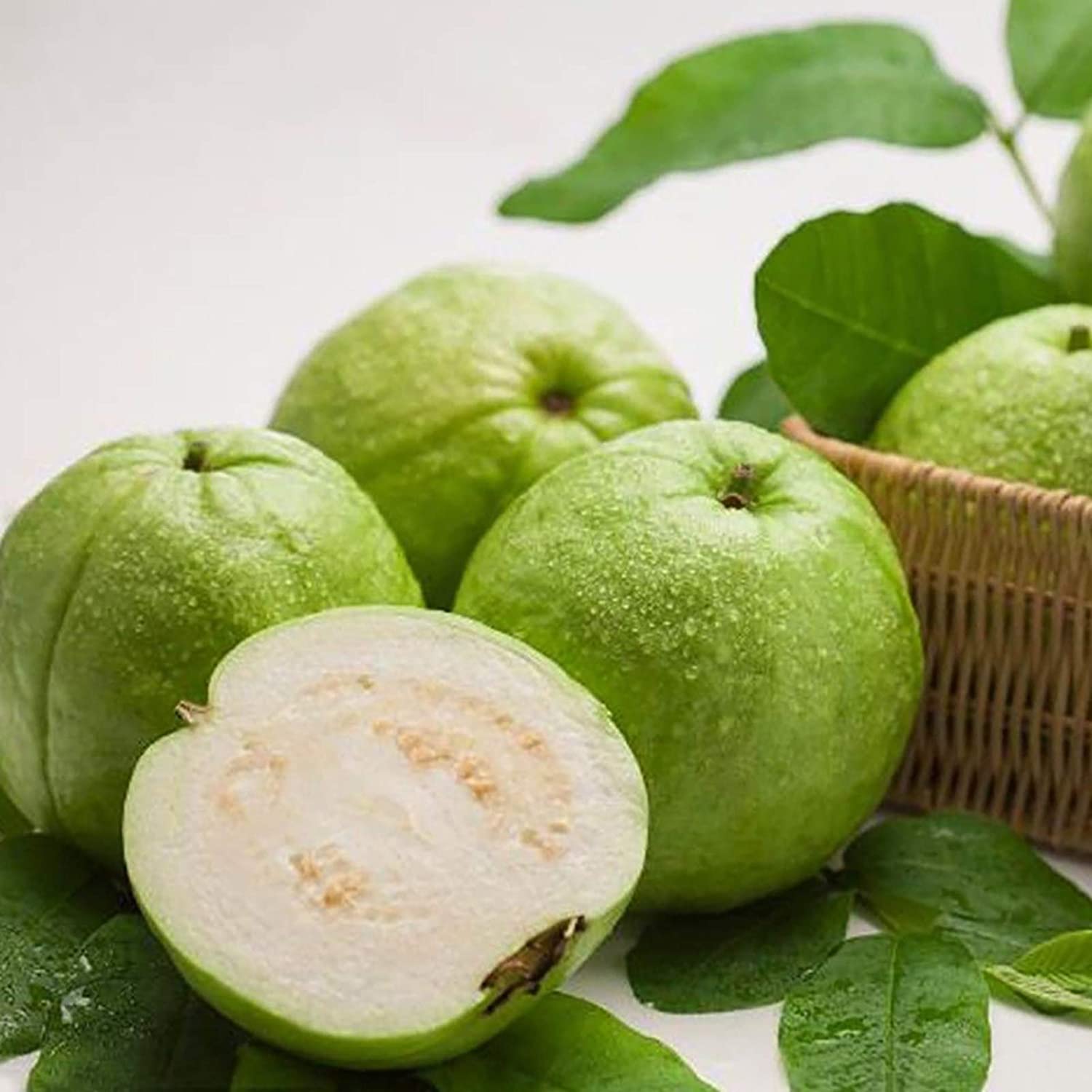 Picture of All Season Thai Sweet Guava Seeds  - 30Pcs Seeds