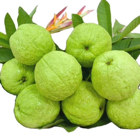 Picture of All Season Thai Sweet Guava Seeds  - 30Pcs Seeds