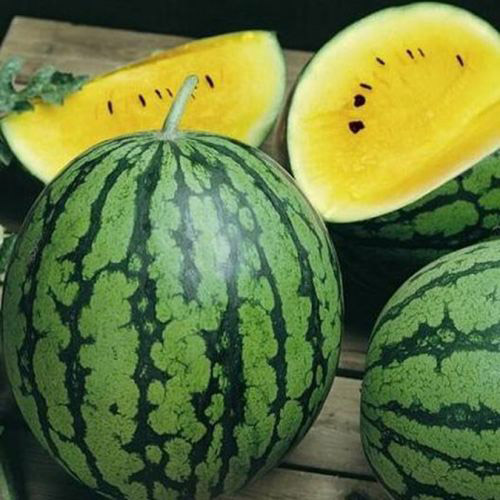 Picture of Global Sweet Yellow watermelon SeedS - 10 Pcs SeedS