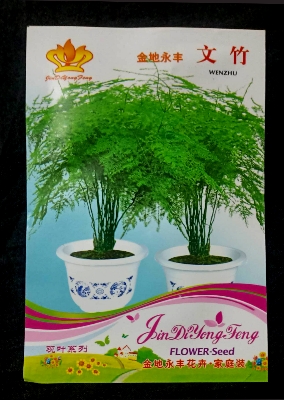 Picture of Global Asparagus Setaceus Ornamental Plant Seeds - 5pcs (Imported Packet)