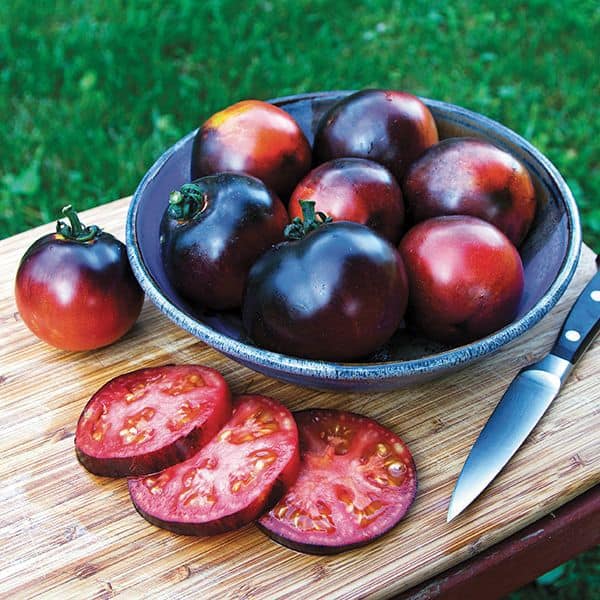 Picture of Global Black Cherry Tomato  20+ seeds