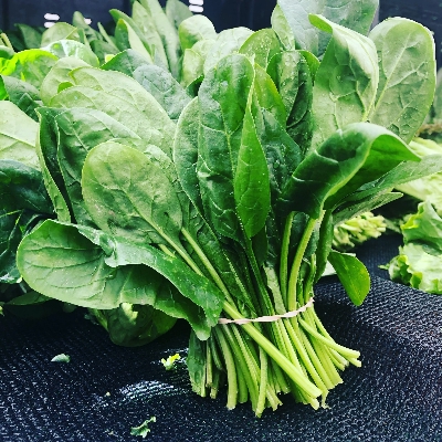 Picture of All Season Organic Spinach Seeds- 50+ Pieces (Intact Packet)