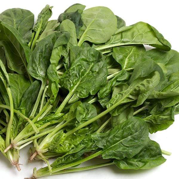 Picture of All Season Organic Spinach Seeds- 50+ Pieces (Intact Packet)
