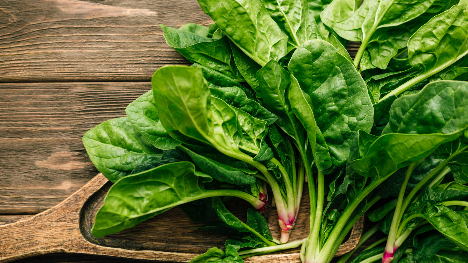 Picture of All Season Organic Spinach Seeds- 50+ Pieces (Intact Packet)