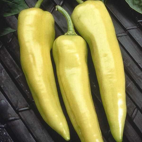 Picture of Global Sweet Big Banana Green Chilly Seeds 20 pieces Seeds