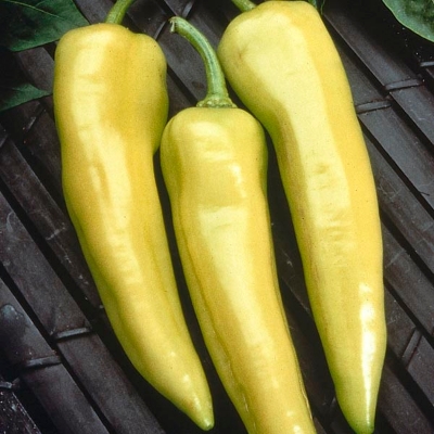 Picture of Global Sweet Big Banana Green Chilly Seeds 20 pieces Seeds