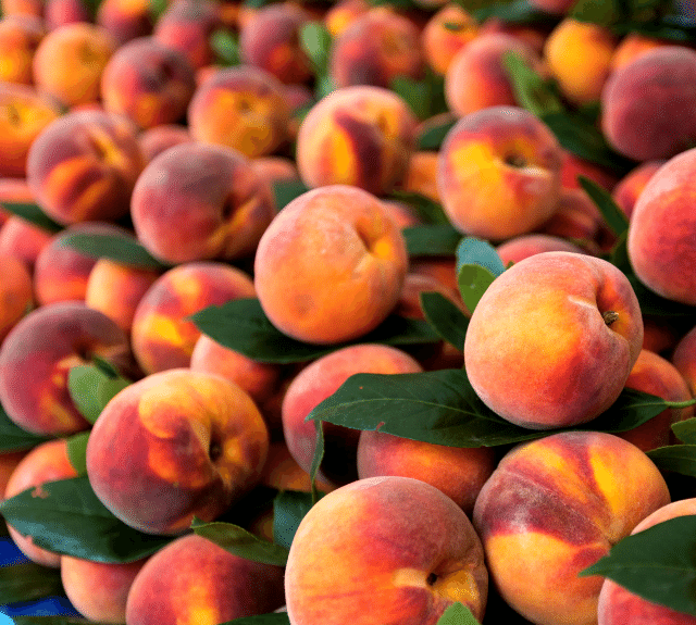 Picture of All Season Peach Tree Seeds - 3 Pcs SeedS