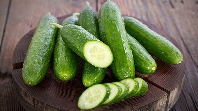 Picture of All Season Hybrid Giant Cucumber Seed- 20 Pcs seedS