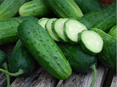 Picture of All Season Hybrid Giant Cucumber Seed- 20 Pcs seedS