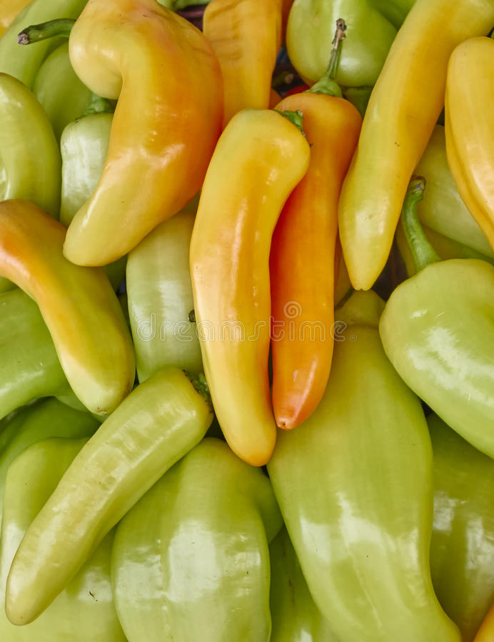 Picture of Global Big Pepper Sweet Horn Chilli Seeds - 25Pcs seeds