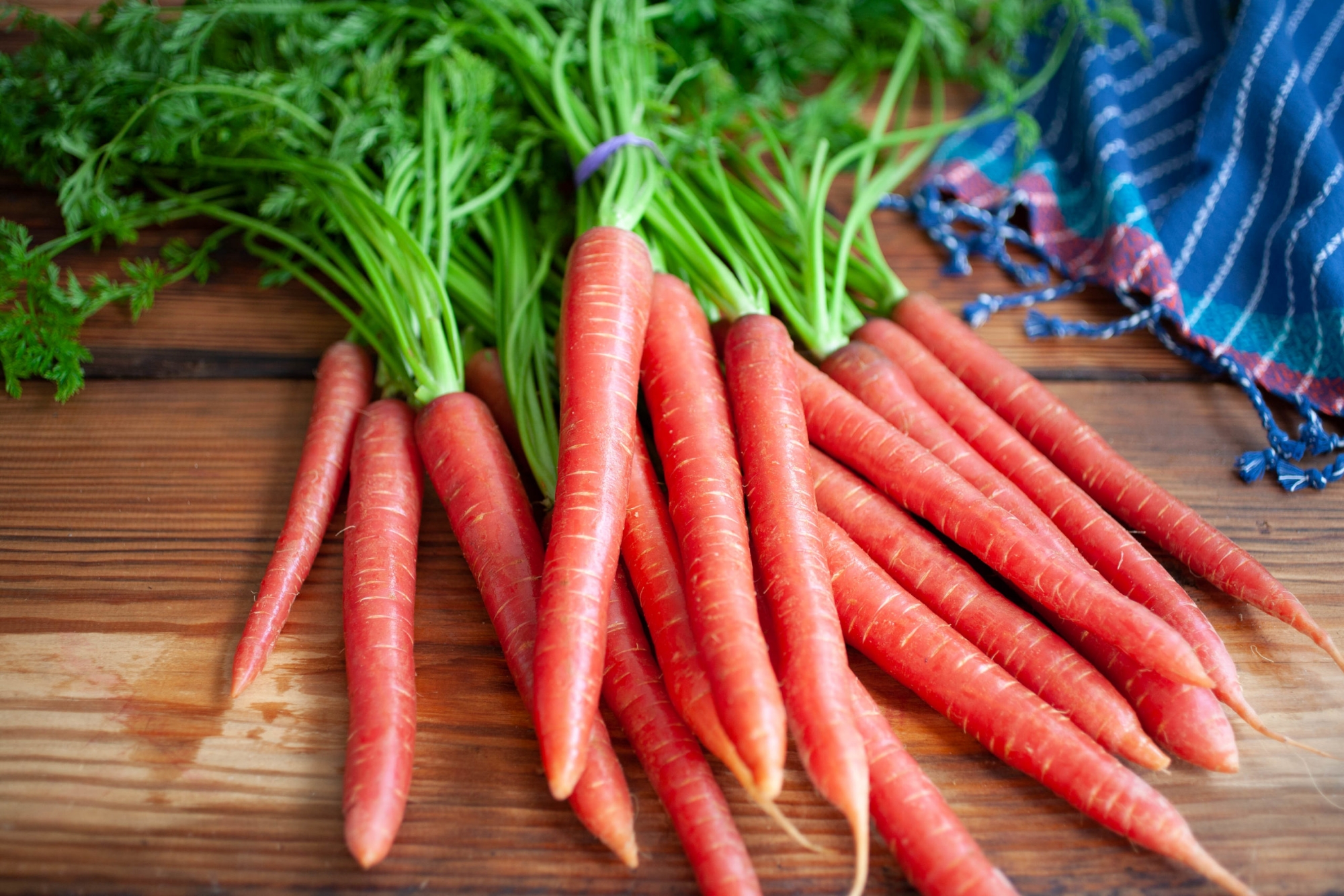 Picture of Organic Red Carrot Seeds - 50 Pcs SeedS