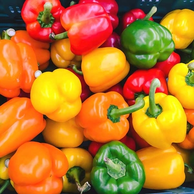 Picture of Organic Mix Colour Capsicum Vegetable Seeds 10pcs seeds