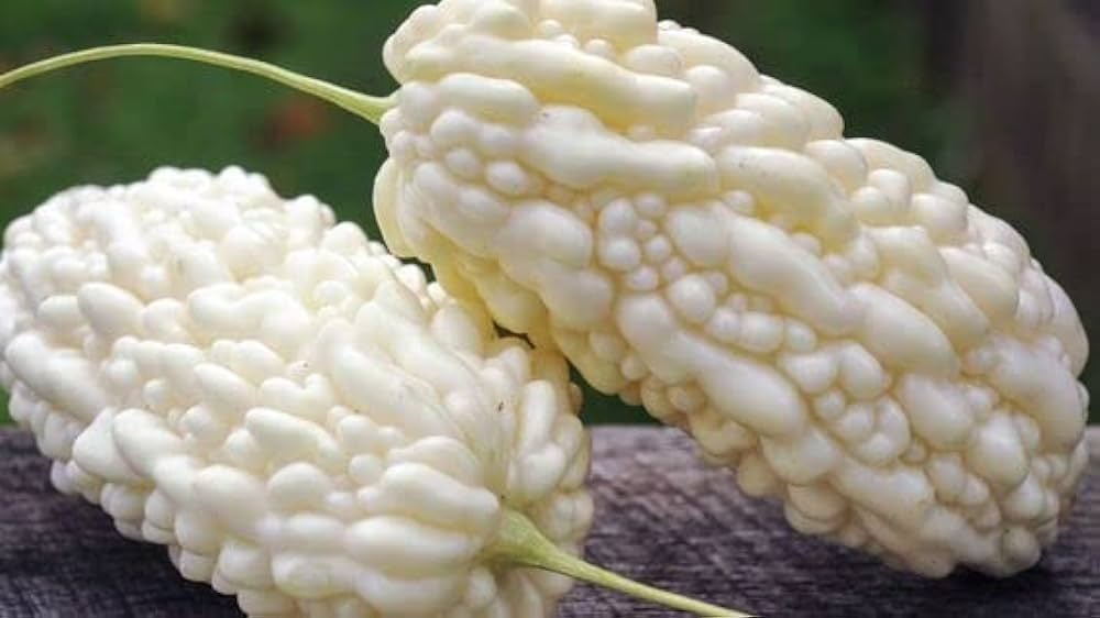 Picture of Imported organic white karala vagetable  10 pics seeds