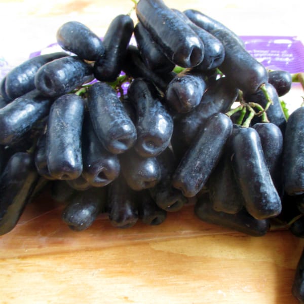 Picture of All Season 20 Pcs Black Sweet Finger Grape 20pcs seeds