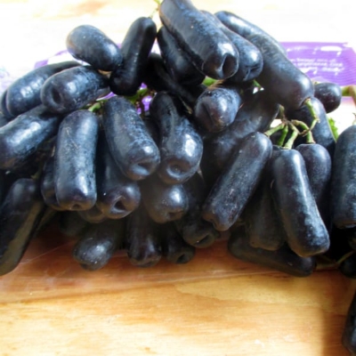 Picture of All Season 20 Pcs Black Sweet Finger Grape 20pcs seeds