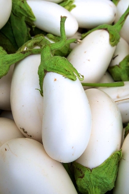 Picture of Global Natural White Eggplant Seeds - 20 Pcs Seeds