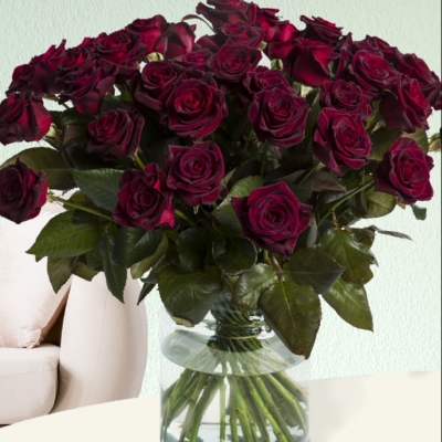 Picture of Hybrid Black Ruby Roses Flower SeedS- 25 Pcs Seeds