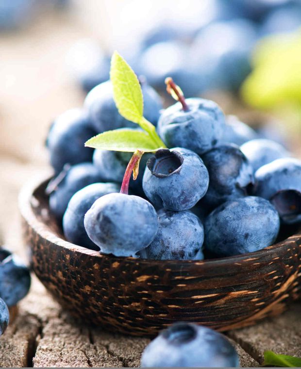 Picture of Imported Sweet Blueberry Seeds - 10 Pcs Seeds