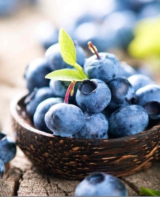 Picture of Imported Sweet Blueberry Seeds - 10 Pcs Seeds