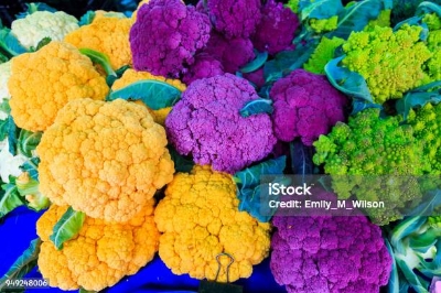 Picture of Global Mix Yellow/pink/green  Broccoli Seeds 25 Pcs Seeds