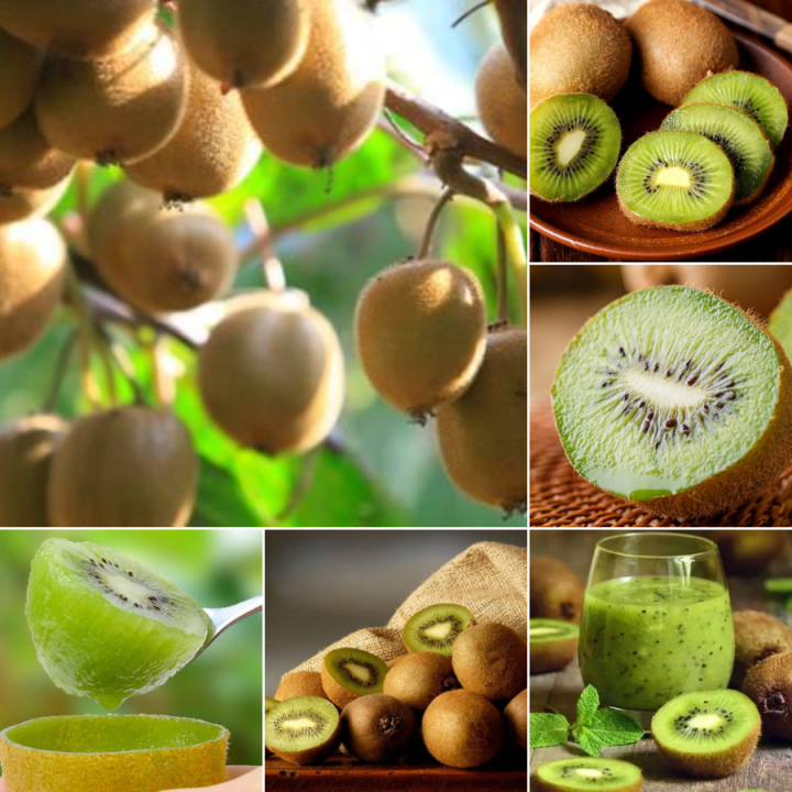 Picture of Imported All Season Global  Mini Kiwi Fruit Bonsai Seeds - 30 Pcs Seeds