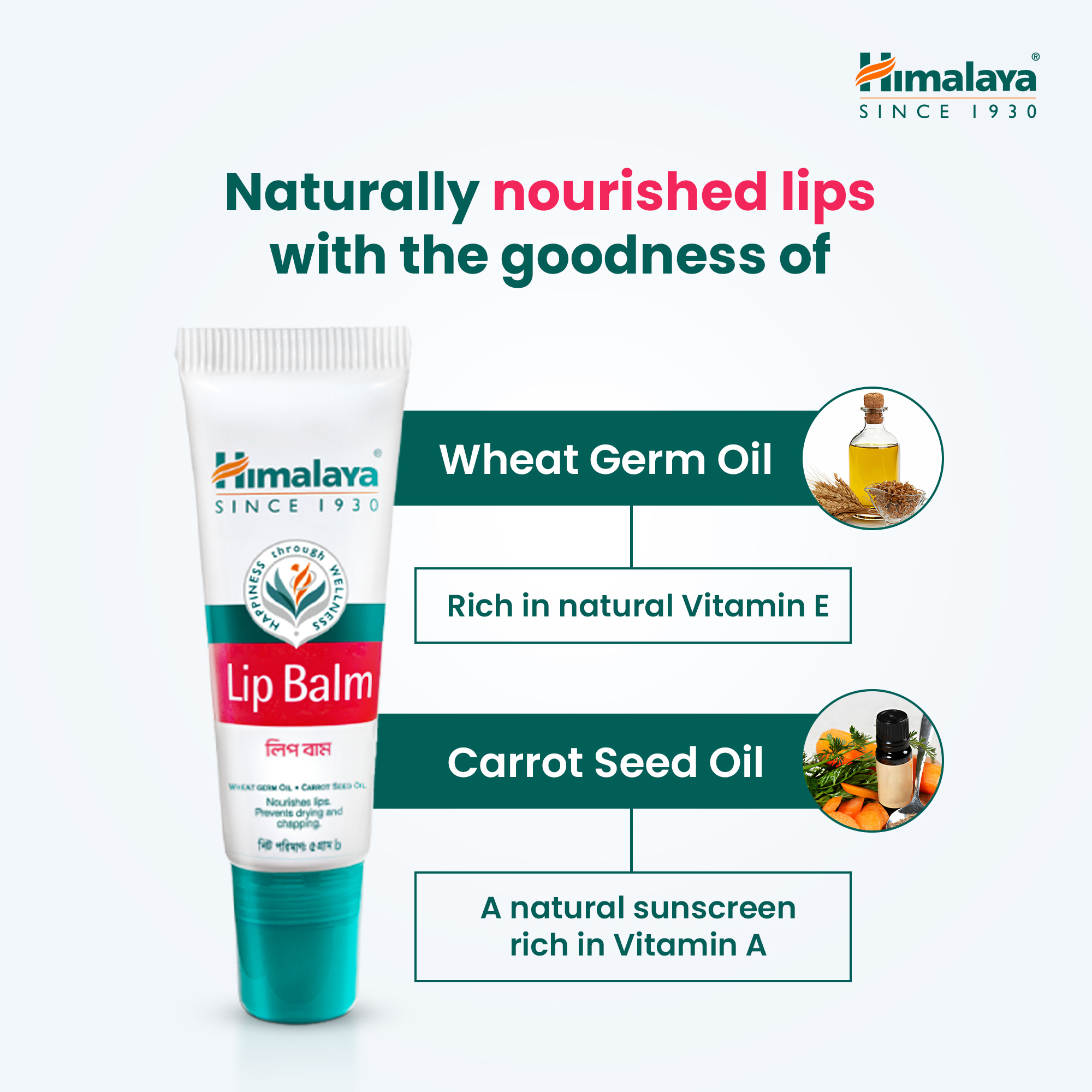 Picture of Himalaya Lip Balm 5g