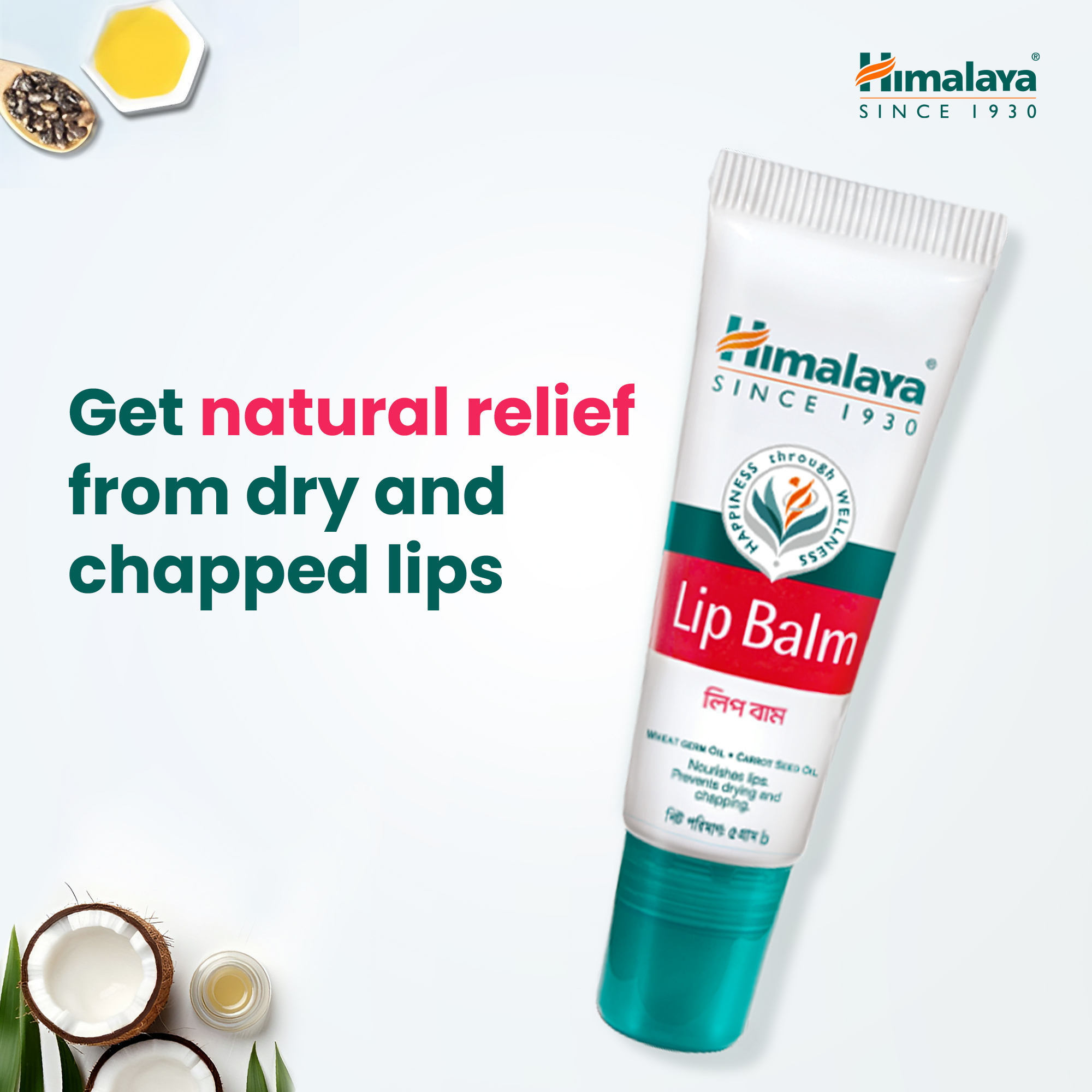 Picture of Himalaya Lip Balm 5g