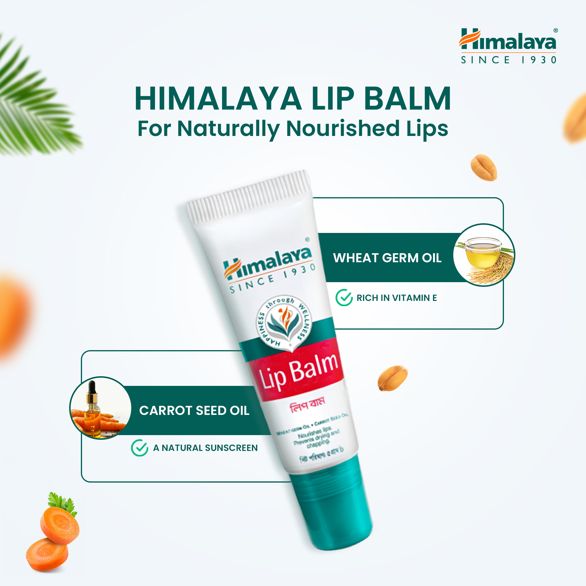 Picture of Himalaya Lip Balm 5g