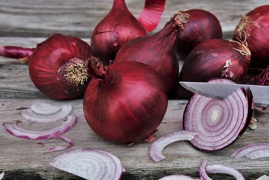 Picture of All Season Hybrid Red Onion Seeds - 50 PcS Seeds  