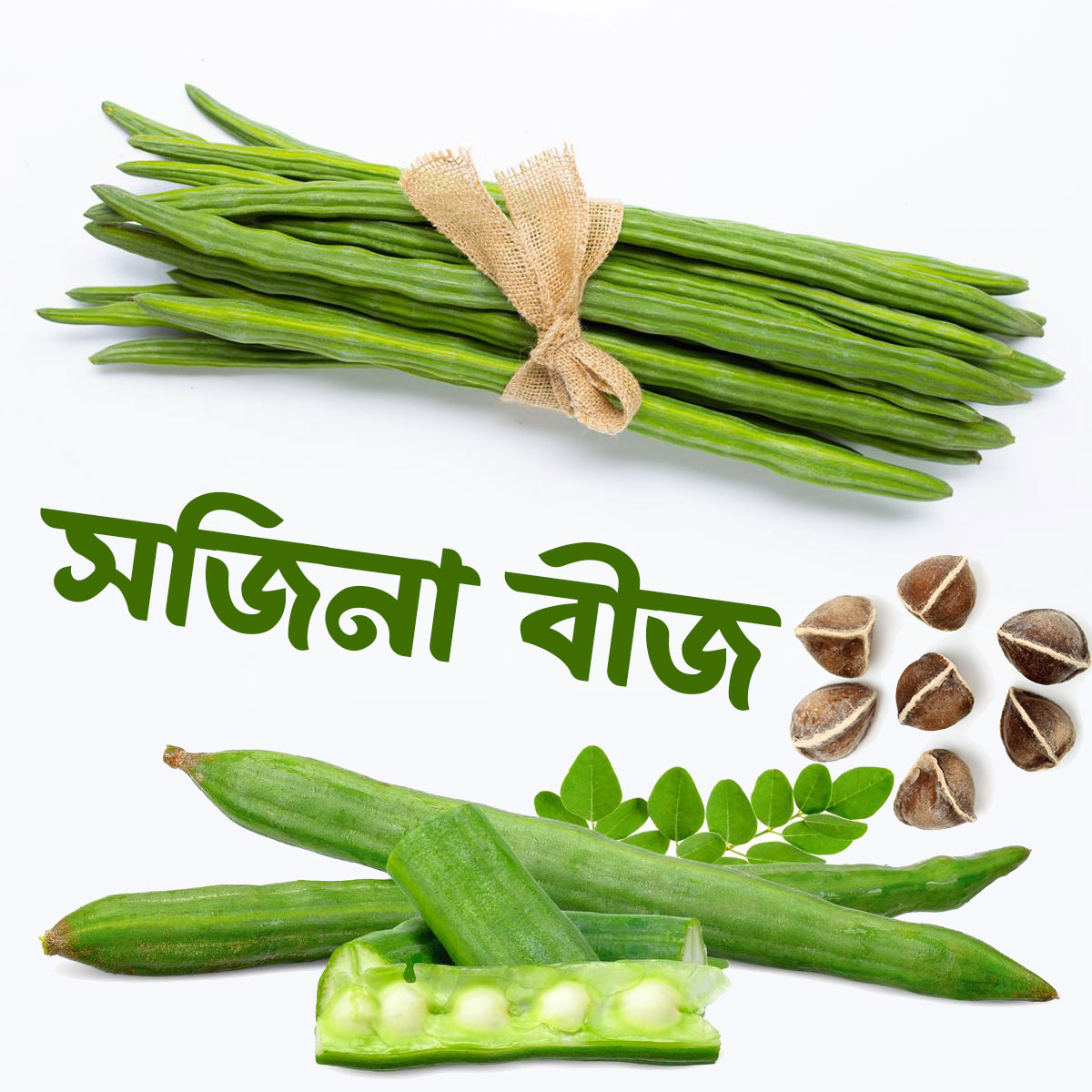 Picture of All season moringa (sojina) seeds 10 pice. The best herbal sajina vegetable seeds