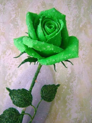 Picture of Natural Sure Green Roses Flower Seeds - 25 Pcs Seeds