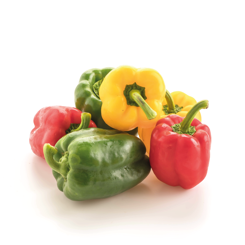 Picture of F1 Hybrid 10 Pcs All Season Multi Colour Capsicum Vegetable Seeds 
