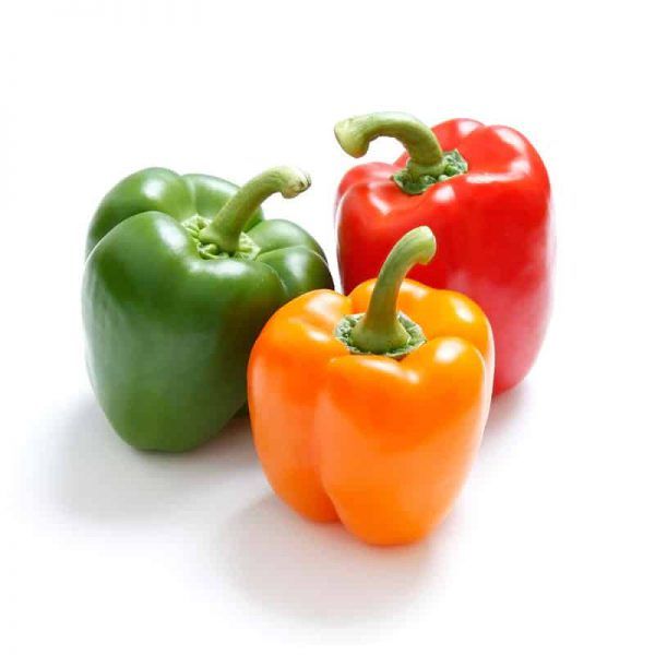 Picture of F1 Hybrid 10 Pcs All Season Multi Colour Capsicum Vegetable Seeds 