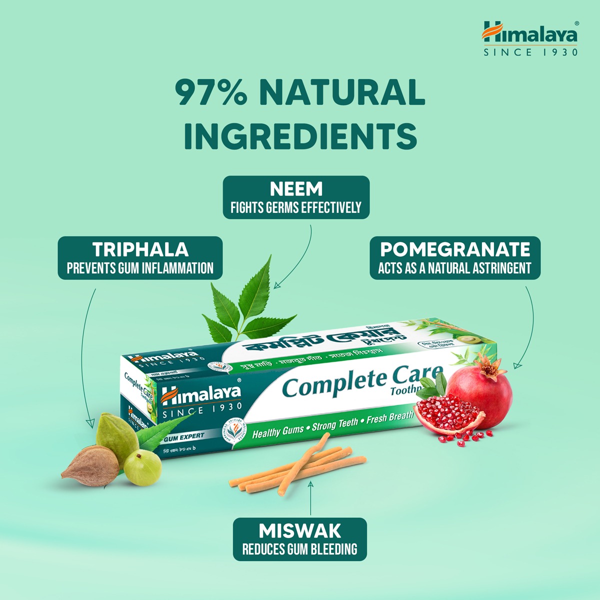 Picture of Himalaya Tri-Action herbal toothpaste-80gm
