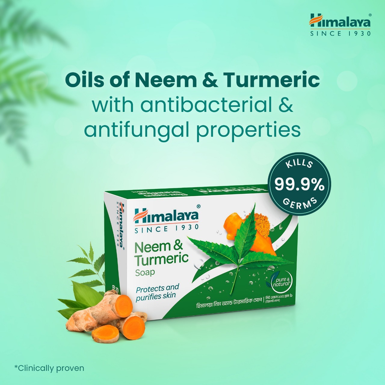 Picture of Himalaya Neem & Turmeric Soap 125 gm B3 G1 FREE