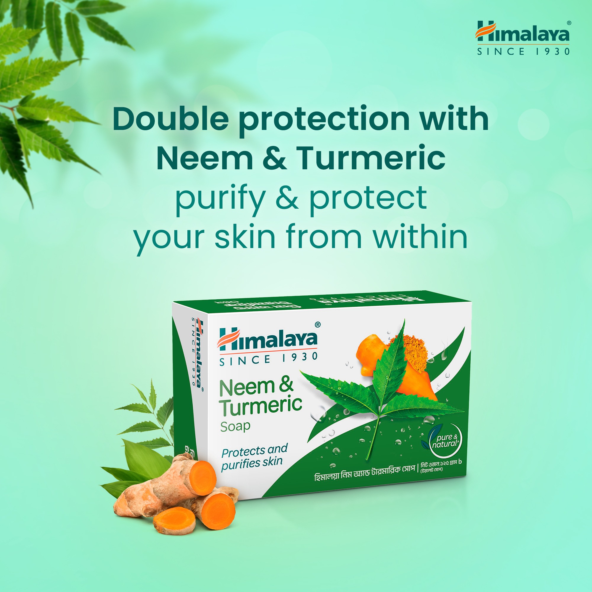 Picture of Himalaya Neem & Turmeric Soap 125 gm B3 G1 FREE