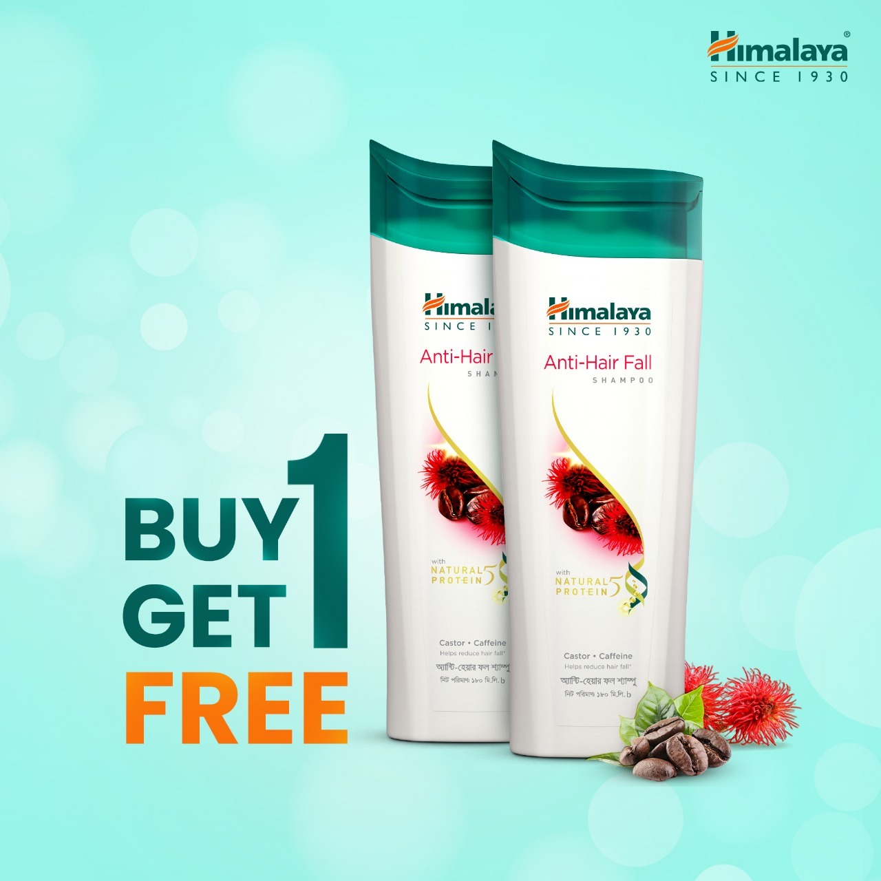 Picture of Himalaya Anti Hair Fall Shampoo - 180 ml (Buy 1 Get 1 Free)