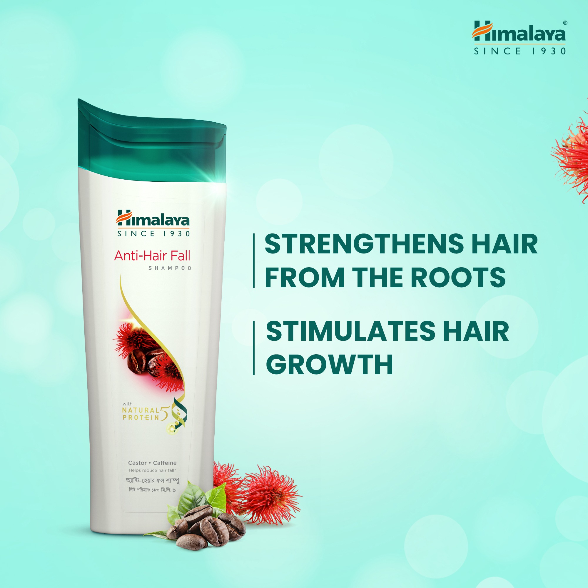 Picture of Himalaya Anti Hair Fall Shampoo - 375ml
