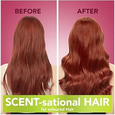 Picture of International France Product For Coloured Hair Shampoo Used For male/female 400 Ml