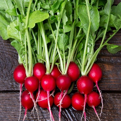 Red Cherry Radish Seeds - 20seeds