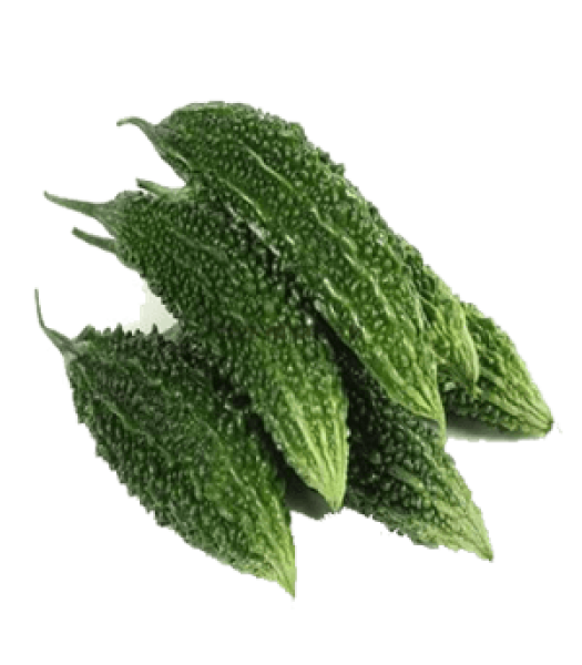 High Yield White Bitter Gourd Seeds