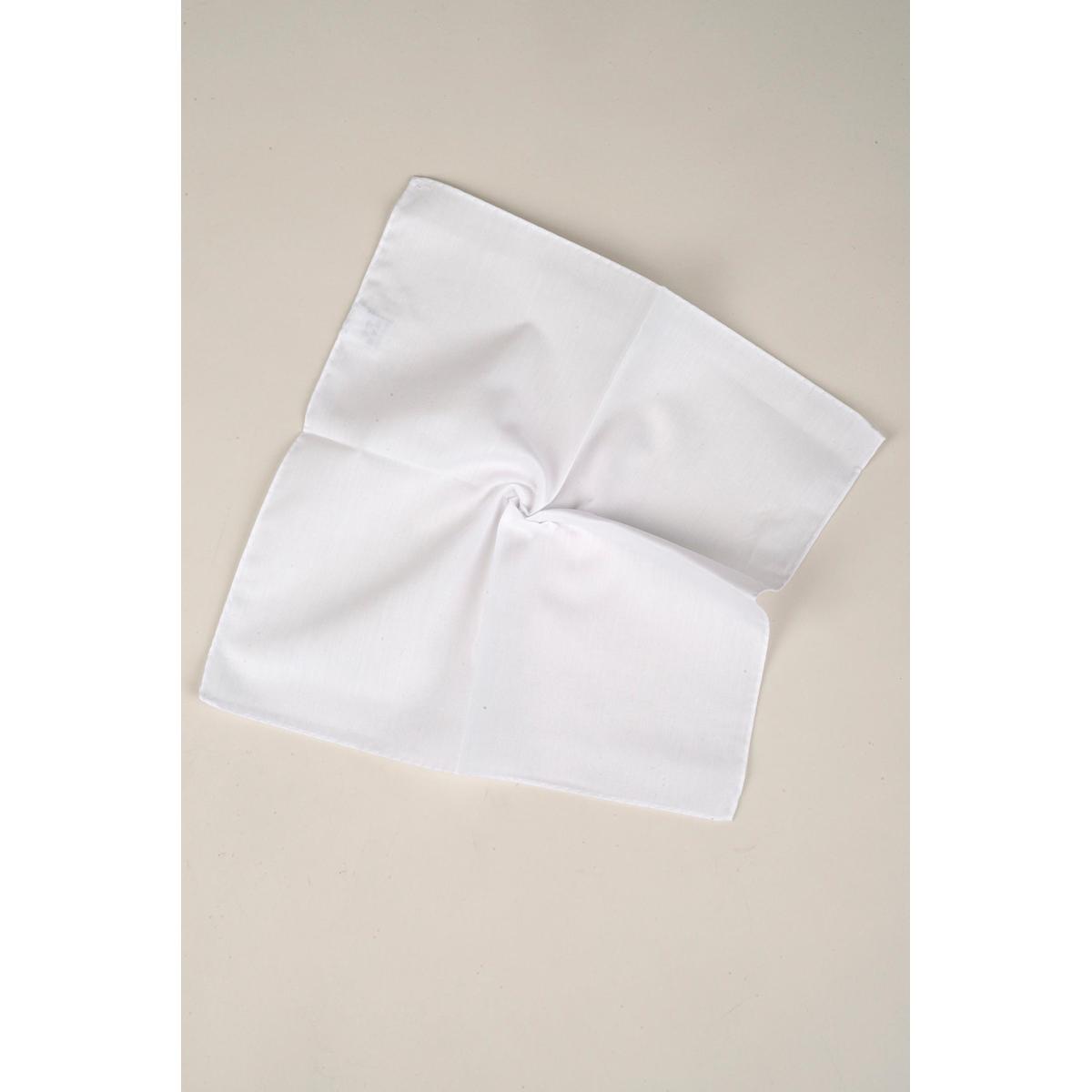 Picture of White Silk Satin Pocket-Square