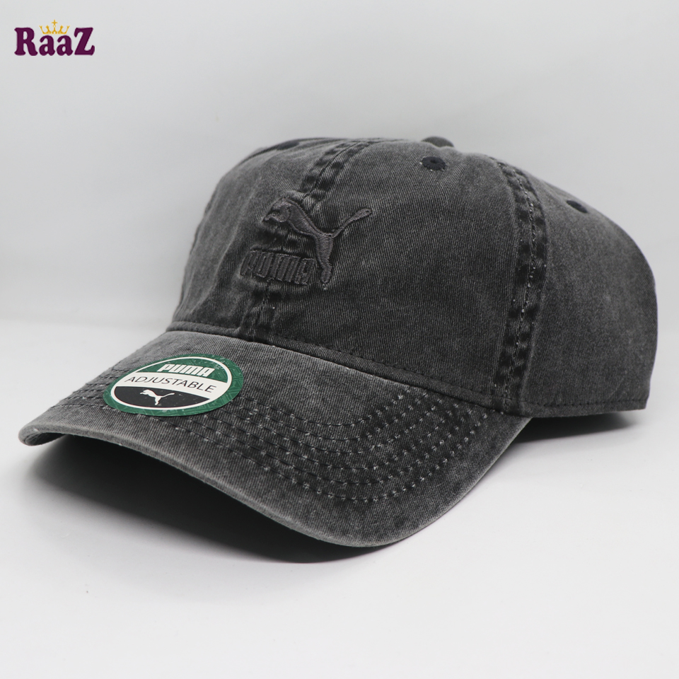 Picture of Deep Ash Puma Embroidery Logo Cotton Curved Cap