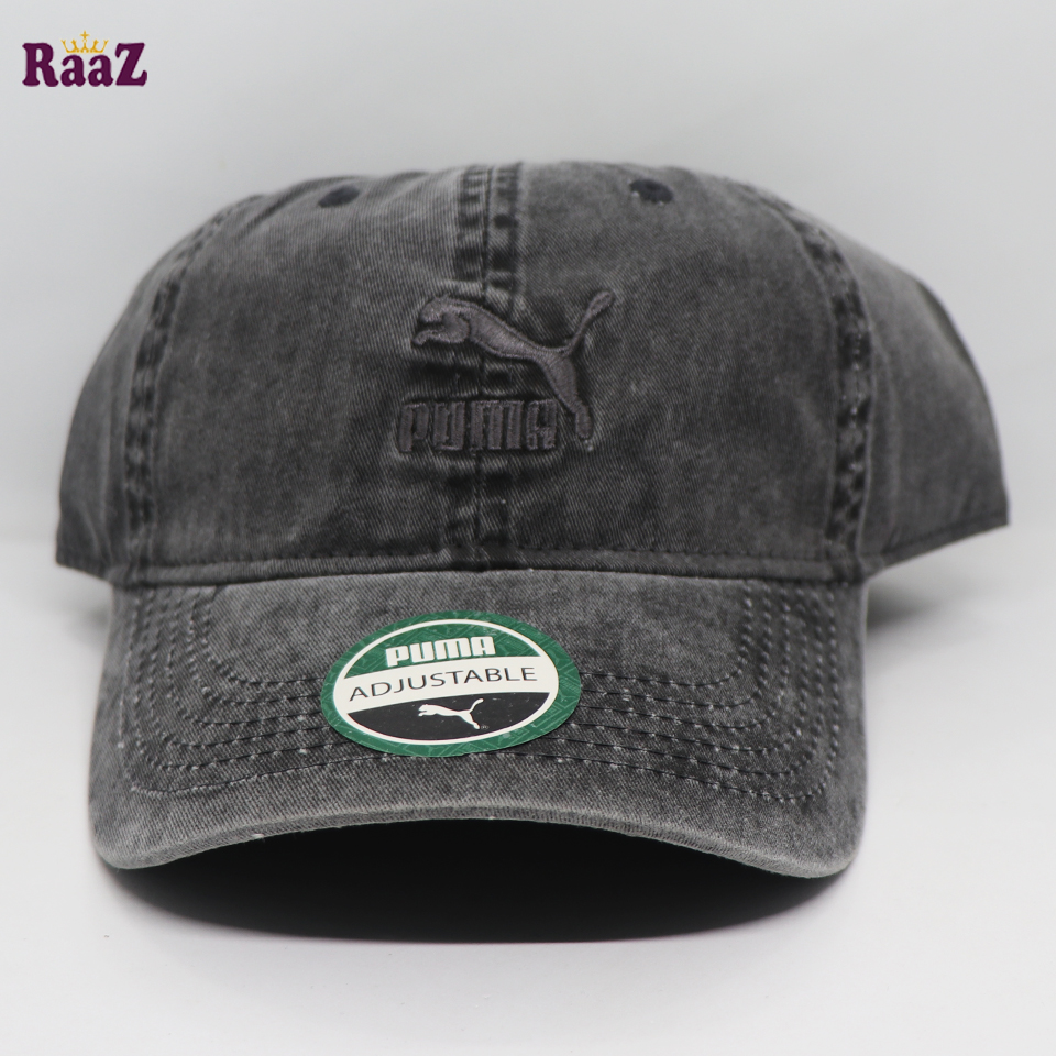 Picture of Deep Ash Puma Embroidery Logo Cotton Curved Cap