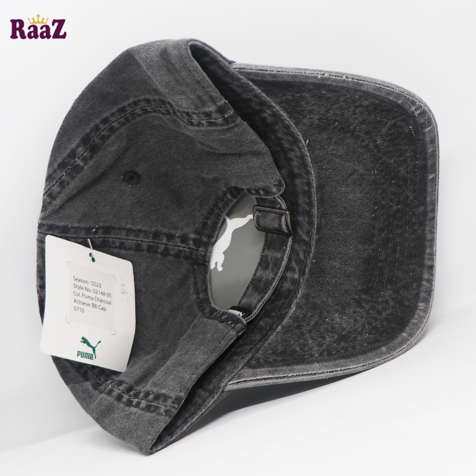 Picture of Deep Ash Puma Embroidery Logo Cotton Curved Cap