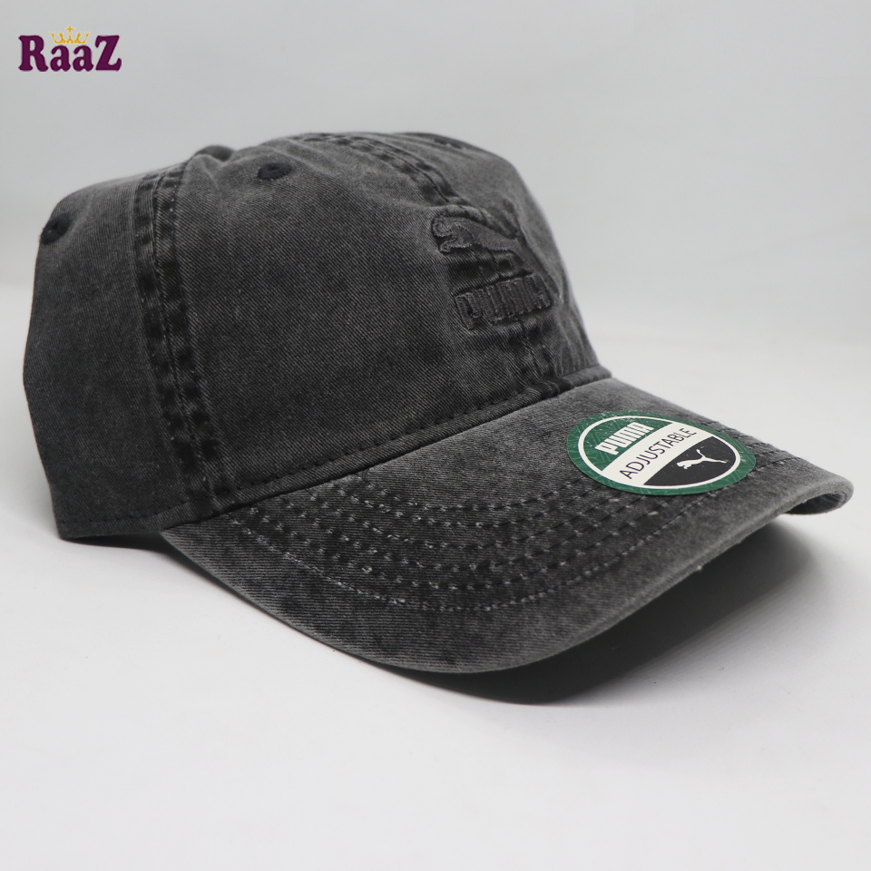 Picture of Deep Ash Puma Embroidery Logo Cotton Curved Cap